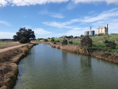 Murray Bridge