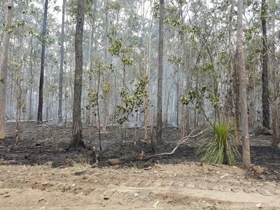 Fortis Creek National Park