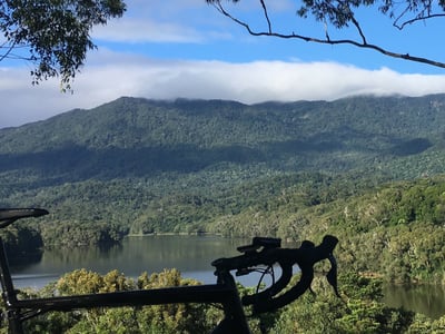 Livelo Cairns - Performance Bike Rental and Guided Tours