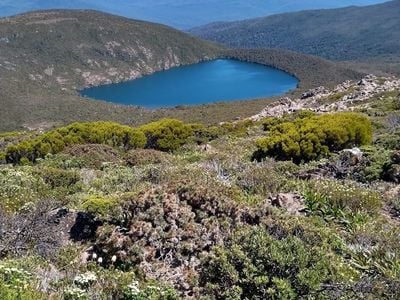 Hartz Mountains National Park