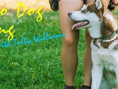 Bendigo Dog Training with Tully Williams