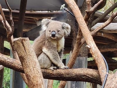 Healesville Sanctuary (Zoos Victoria)