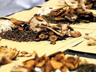 Empirical Health - Chinese Herbal Medicine