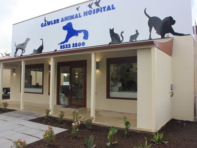 Gawler Animal Hospital