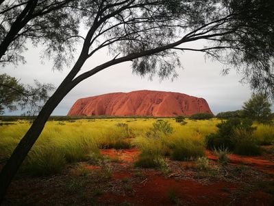 Uluṟu Sunset Viewing Area