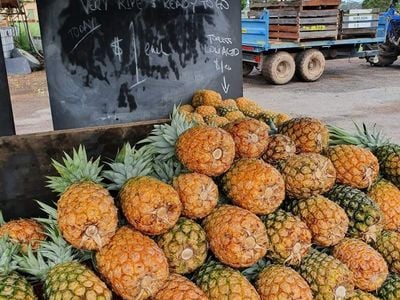 The Pineapple Cart