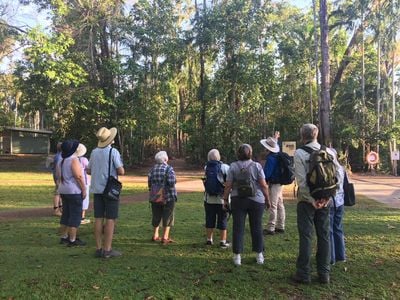 NT Bird Specialists | Birdwatching & Photography Tours - Darwin Australia