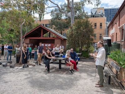 North West Patch Community Garden