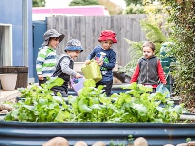 Discovery Early Learning Centre & OSHC - Ulverstone