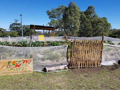 Dutton Park Garden - Growing Forward