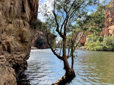 Butterfly Gorge