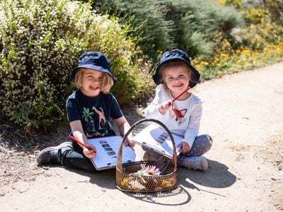 Beyond Early Learning Mount Gambier