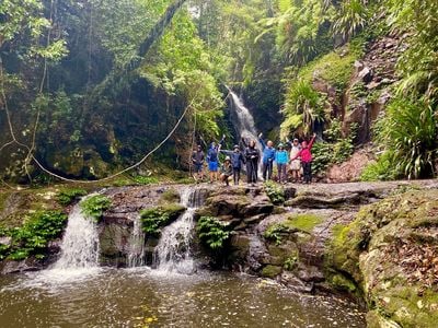 Rainforest Tours Australia