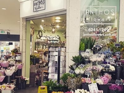 Anthos Flowers Gungahlin