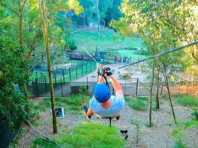 TreeTop Challenge Gold Coast Currumbin