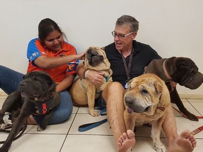 Barkly Veterinary Practice