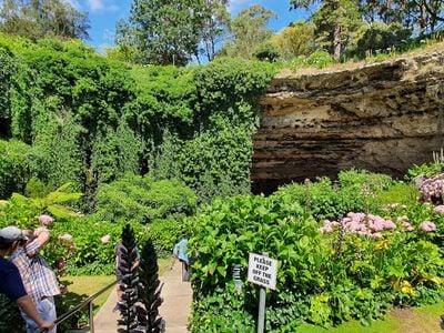 Umpherston Sinkhole / Balumbul