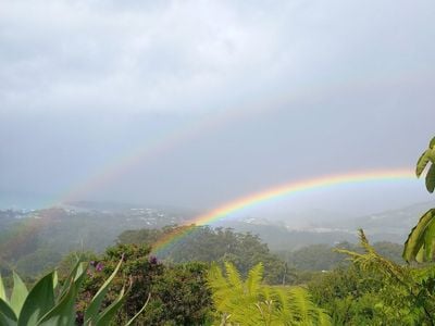 Ocean & Forest Views Holiday Rental