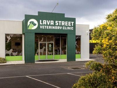 Lava Street Veterinary Clinic- Warrnambool