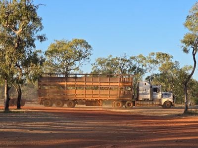 Mount Elizabeth Station