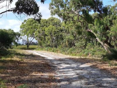 Wonthaggi Heathlands Nature Conservation Reserve