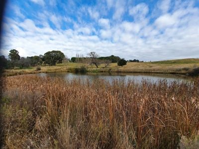 Lake Canobolas Mountain Bike Park