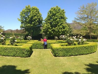 High Country Gardens, Gallery and Maze