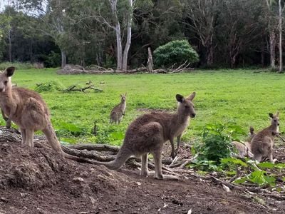Coombabah Lake Conservation Park Coombabah Lake Conservation Park