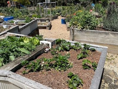 Warragul Community Garden