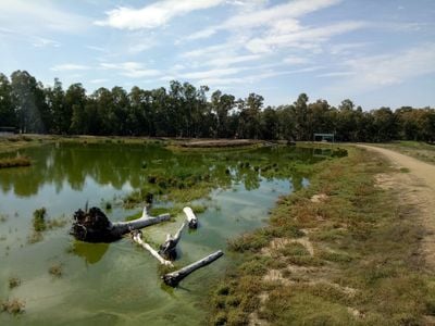 Marrambidya Wetland