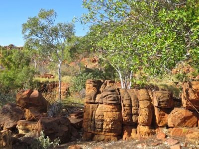 Halls Creek