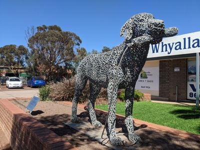 Whyalla Veterinary Clinic