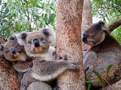 Waterholes Wildlife Sanctuary