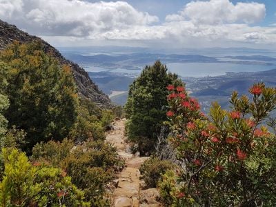 See Tasmania