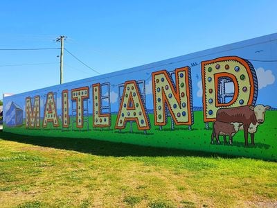 Maitland Mural