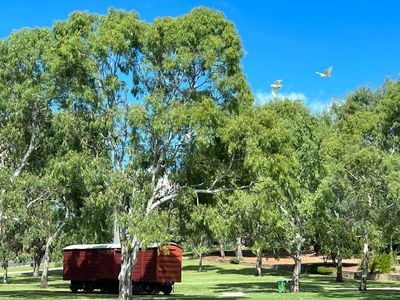 Murray Bridge Train Memorial