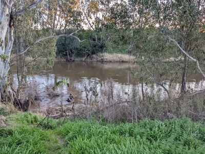 North Burrabadine Reserve