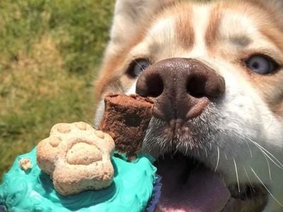 Ballarat Canine Confections