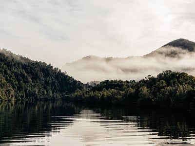 Gordon River Cruises