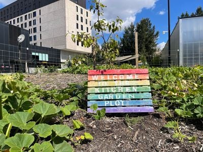 ANU Kitchen Garden Plot