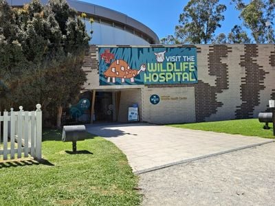 Australian Wildlife Health Centre, Healesville Sanctuary