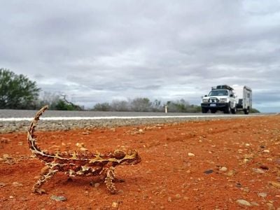 Mobile Weight Check - Vehicle And Caravan Weighing