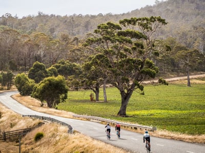 Livelo Hobart - Road Bike Rental and Guided Tours