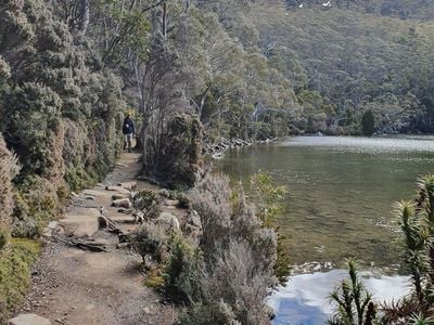 Mount Field National Park