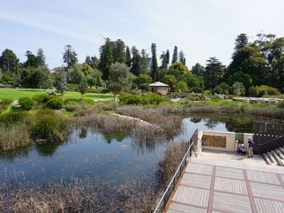 First Creek Wetland