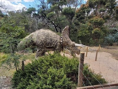 Ballarat Bird World