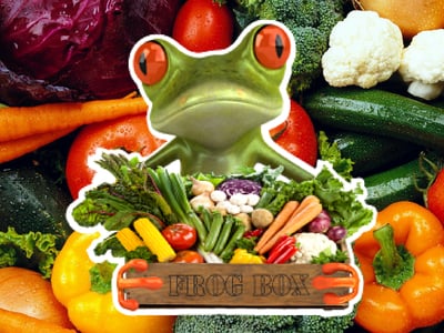 FROG Organic Boxes