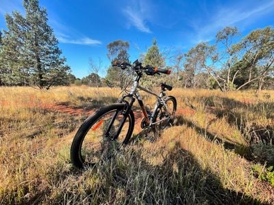 Griffith Mountain Bike Trails