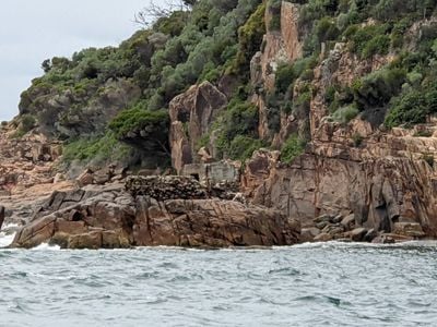 AquaMarine Adventures - Port Stephens