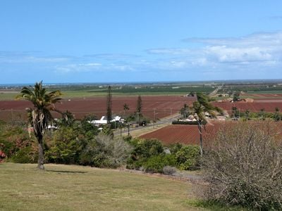 The Hummock Lookout